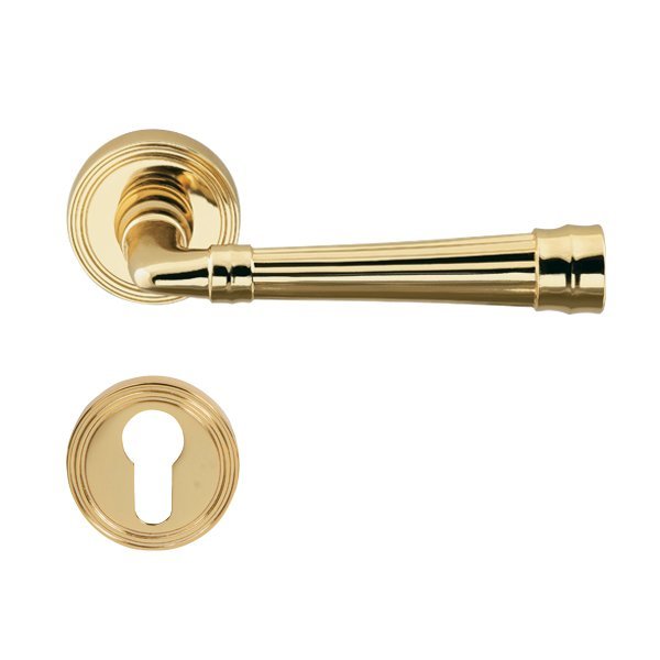 Hafele Gain Barelli Kapı Kolu Seti, Parlak Pirinç Renk