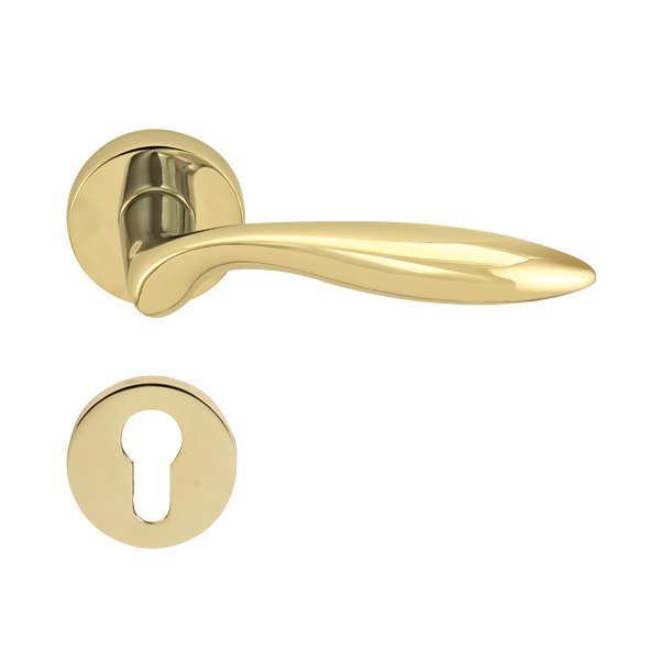 Hafele Balena Barelli Kapı Kolu Seti, Parlak Pirinç Renk