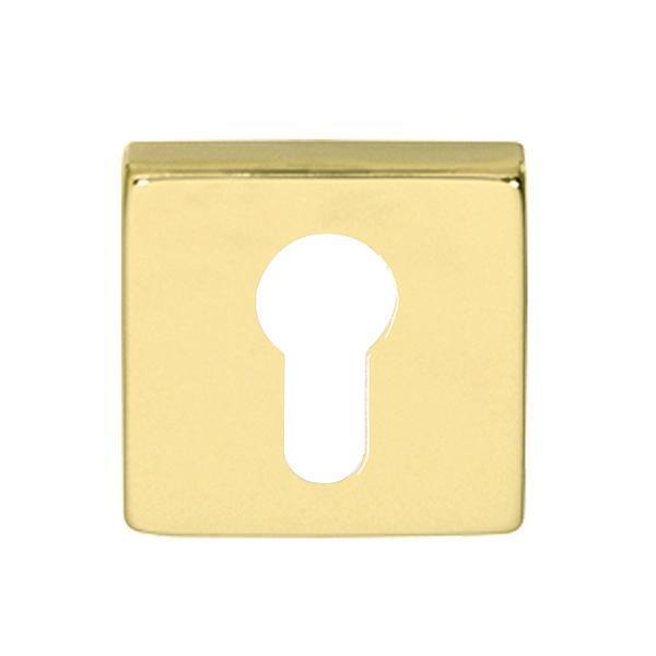 Hafele Kare Barelli Kapı Kolu Rozeti 50mm, Parlak Pirinç Renk